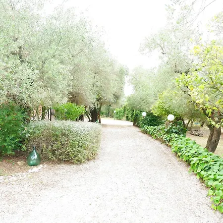 Tenuta Maison Angelina Bed & Breakfast
