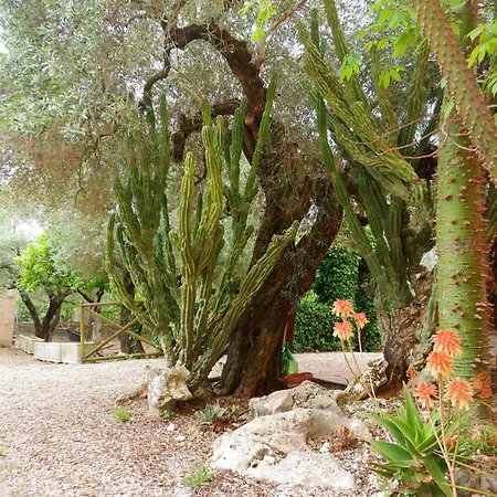 Bed & Breakfast Tenuta Maison Angelina